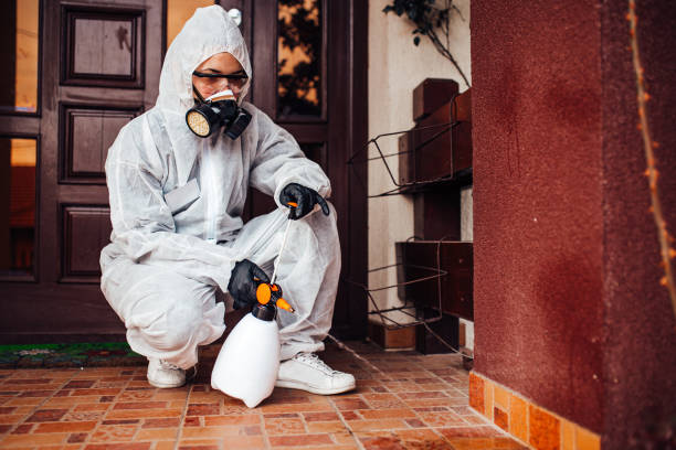 Reliable Cockroach Control contractor in Cane Savannah, SC by Nex Pest Control