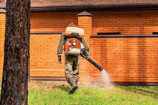 Trusted Ant Control service in Cane Savannah, SC - Nex Pest Control